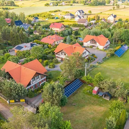 Czarny Kos Borkowo Zukowo